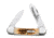 Case 62131 CV Amber Canoe  Canoe Image-Etched Spear Blade and Pen BladeFolding Knife, Amber Bone Handle, 3 5/8 00263