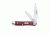 Case 6220 SS Pocket Worn Old Red Peanut  Clip and Pen BladesFolding Knife, Red Bone Handle, 2 7/8 00781
