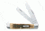 Case 6254 SS Amber Trapper  Clip and Spey BladesFolding Knife, Amber Bone SS Handle, 4 1/8 00164