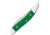 Case Sm Toothpick Green Synthetic