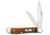 Case Peanut Folding Knife, 2.88 in, Tru-Sharp Surgical Steel, Smooth Antique Bone Handle, 58201