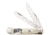 Case U. S. Navy-Natural Bone Trapper 6254 SS With Navy On Handle, Navy Seal On Bolster 22553