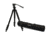 Celestron Regal Premium Adjustable Aluminum Tripod, Black 82052