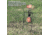 Champion Traps and Targets Centerfire Double Gong Spinner Steel Target, Orange, Small, 40875
