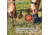 Champion Traps and Targets Rimfire Three Gong Spinners Target Steel, Card, 40872