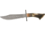 Damascus Crown Stag Hunter Fixed Knife DM1042