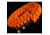Dark Energy Lightning to C Paracord Cable, Hi-Vis Orange, IND-LCC03HIVIS