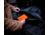 Dark Energy Poseidon Pro Indestructible Charger, Hi-Vis Orange, PSPRO10HIVIS