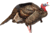 Dave Smith Decoys 3/4 Strut Jake Decoy