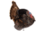 Dave Smith Decoys Jake Strutter Decoy