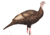 Dave Smith Decoys Upright Hen Decoy