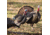 Dave Smith Decoys Decoys Posturing Jake Decoy