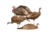 Dave Smith Decoys Turkey Flock, Black 87107