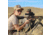 DNT Optics ThermNight 3-12x52mm Thermal Rifle Scope w/5-20x Night Vision Multispectral Scope with Laser Rangefinder and Ballistic Calculator