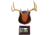 Dead Deer Cam2 True Classic Antler Mount W Frame