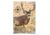 Birchwood Casey Dirty Bird PreGame Animal Targets Deer 16.5x24 Inch 3 Per Package 35401, BCYBC35402