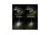 EAGTAC P20C2 Flashlight, XP-G2 R5 NW LED, 530lm, Black, P20C2-XPG2-BASE-NW