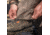 Eberlestock Battle Creek Pants - Mens, Dry Earth, 38, BPE38