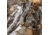 Eberlestock Freefall 2000 Pack, Coyote Brown, 32L, V7MC