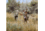 Eberlestock Team Elk, Dry Earth Microsuede, 2567 C.I., M5HE-V2