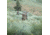 Eberlestock Vapor 2500, Mountain, 2500 C.I., V25AM-V2