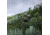 Eberlestock Vapor 2500, Mountain, 2500 C.I., V25AM-V2
