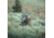 Eberlestock Vapor 2500, Mountain, 2500 C.I., V25AM-V2