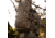 Eberlestock Vapor 2500, Mountain, 5000 C.I., V50AM-V2