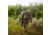 Eberlestock X2 Daypack, Multicam, X2MM-V2