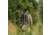 Eberlestock X2 Daypack, Multicam, X2MM-V2