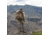 Eberlestock X2 Daypack, Dry Earth Microsuede, X2HE-V2
