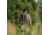 Eberlestock X2 Pack, Dry Earth Microsuede, 2450 C.I., X2HE-V2