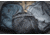 Elite Survival Systems Avenger Concealment Gen2 Gun Packs