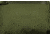Elite Survival Systems Trailguard Concealed Carry Chest Pouch, Olive Drab, 8105-K