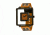 Eviga Hl0109 Hola Watch - Orange Band, Orange Bezel