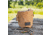Evolution Outdoor Tactical Brass Bag, Polyester, Rubber Mesh Bottom, Cinch Top, Roll-Up Storage, Coyote