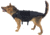ExecDefense USA Dog Canine, K9 Bulletproof Vest, Black, Large Size, Larger Breeds, E-BEDV-L