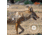 EZ-Aim Allen Paper Four Color Coyote Target, 25X35, 15284
