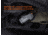 Fenix Gl22 Tactical Light W/ Red Laser Sight - GL22LSBK