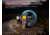 Fenix Lighting HM61R V3 ARB-L18-4000 1800 Lumens LED Headlamp
