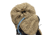 Fjallraven Abisko Hike Lite 20L Backpack, Small/Medium Strap