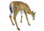 Flambeau Grazing Doe Decoy, Brown, 5967GD