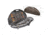 Flambeau Hard Bow Case, Black 6461SC