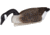 Flambeau Water Pack Canada Goose Decoy, Color 1 : Black/:Grey, 8091SHU