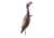 Flextone Funky Chicken Gen 2 Decoy, Black, FLX-FLXDY330