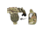 G-Code GCA200 STATIC GRIP RTI Optimal Drop Cobra Buckle Pistol Platform, Multicam Green, GCA200-CB-GNMC
