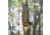 G-Code Pistol Soft Shell Scorpion Mag Carrier w/ Cobra Paddle, Ambidextrious, OD Green Frame/Black Shell, Short, SS-P2-COBRA-GNBK