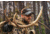 Gatorz Blastshield Sunglasses, Black Logo, Black Frame, Ballistic Shooting Day - Low Light Array Lens, 841235126369