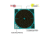 Girls With Guns Gwg Splash Self-Adhesive Paper Bullseye Target, Teal/Black, 12X12, 15279