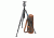 Gitzo Series 2 Vintage Tripod Kit